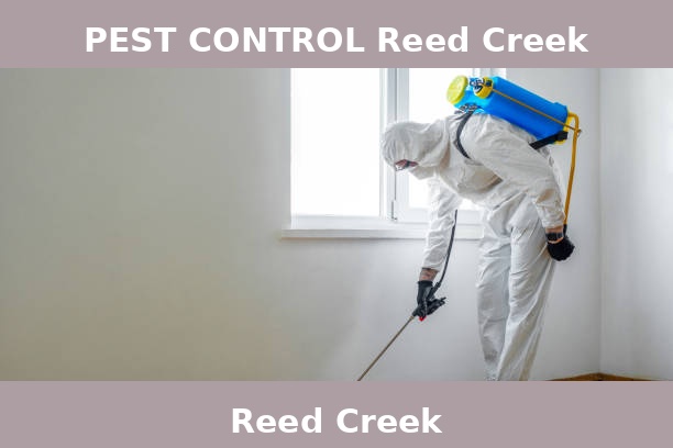 PEST CONTROL Reed Creek